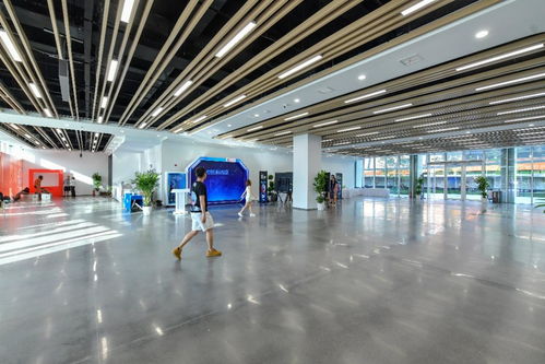 相約湖北 夢幻靈境AI展演中心即將開館，共探網(wǎng)絡(luò)技術(shù)開發(fā)新前沿